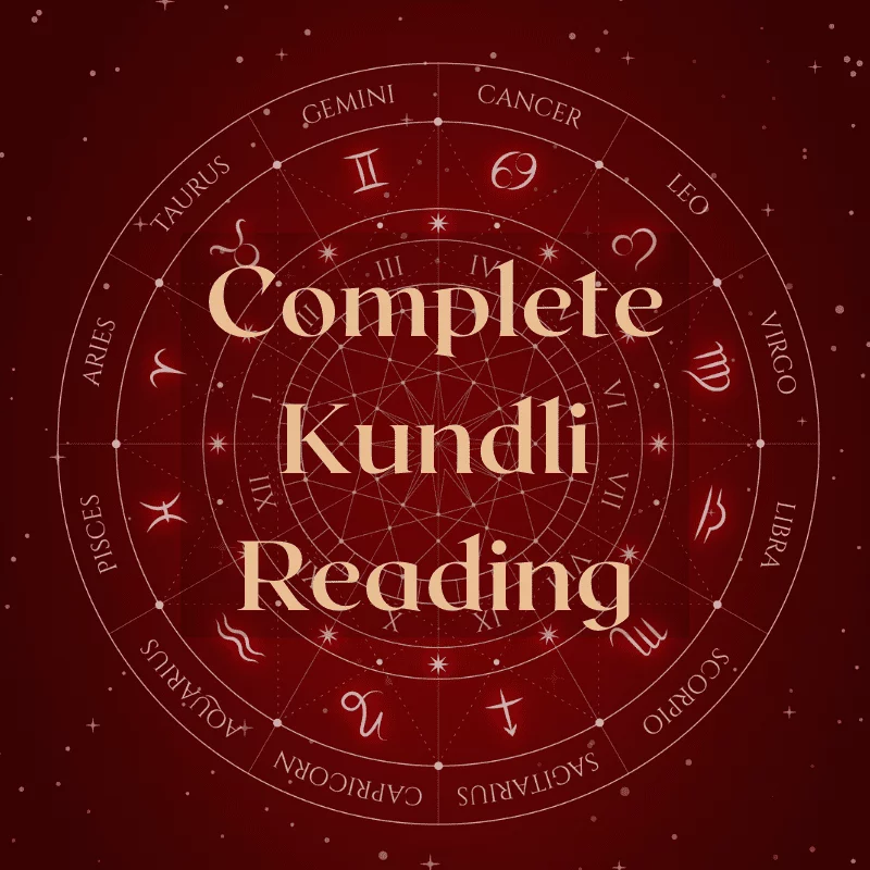 Astrovigya Complete Kundli Reading