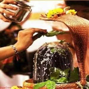 Rudrabhishek Puja